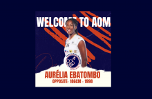 aurelia